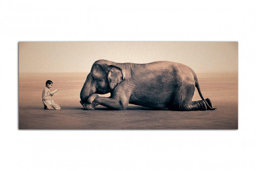 Фотокартина в интерьер Мальчишка и слон
