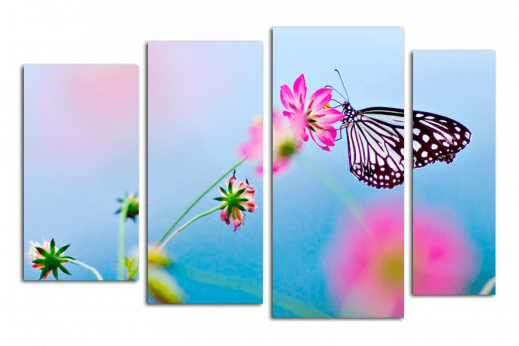 Модульная картина Бабочка на цветке